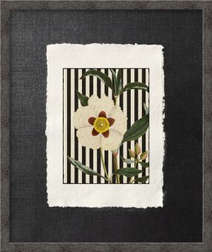 POSTART CARTA COTONE ‘IL FIORE DEL RICORDO’ SW28 - catalogo