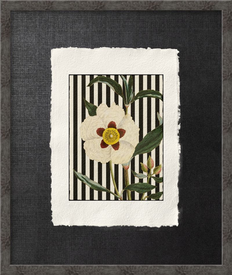 POSTART CARTA COTONE ‘IL FIORE DEL RICORDO’ SW28 - catalogo