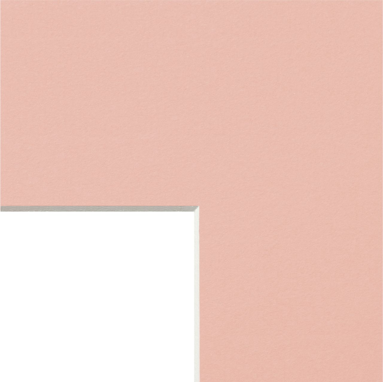 PASSEPARTOUT IN FOGLI ROSA W187 - angolo