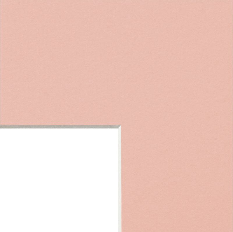 PASSEPARTOUT IN FOGLI ROSA W187 - angolo