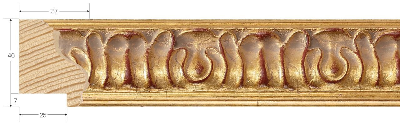 ASTA GOLD SERIE MELIA 2070 - frontale