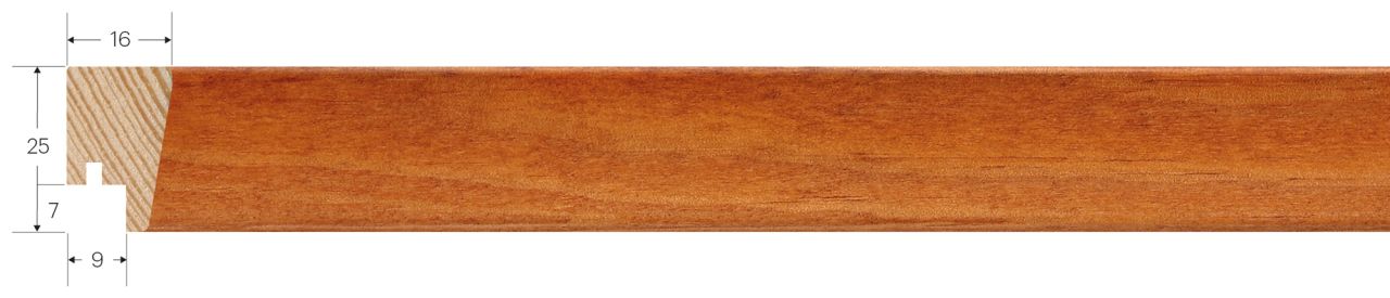 ASTA NATURAL SERIE GIULIA 2701 - frontale