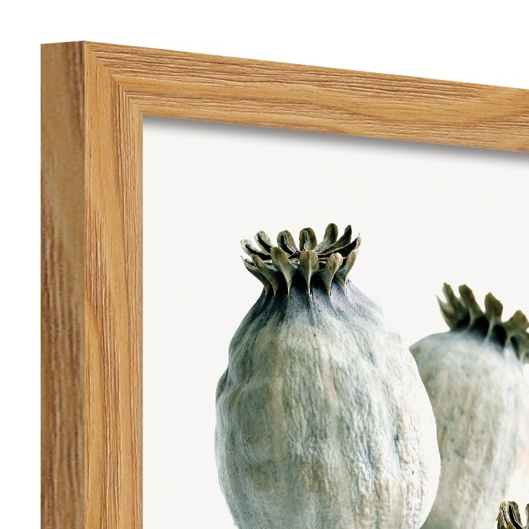 DECOPOSTER OAK DP07