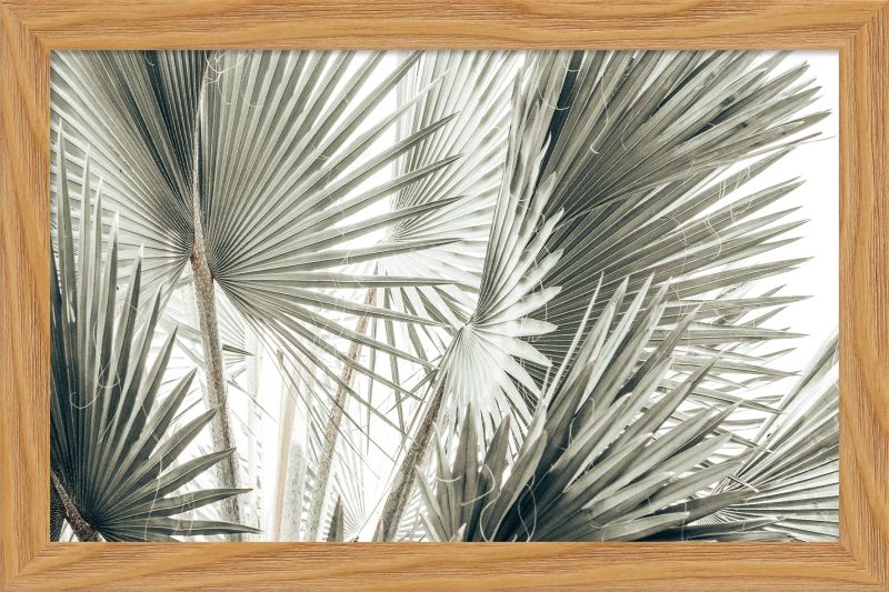 DECOPOSTER OAK DP08 - catalogo