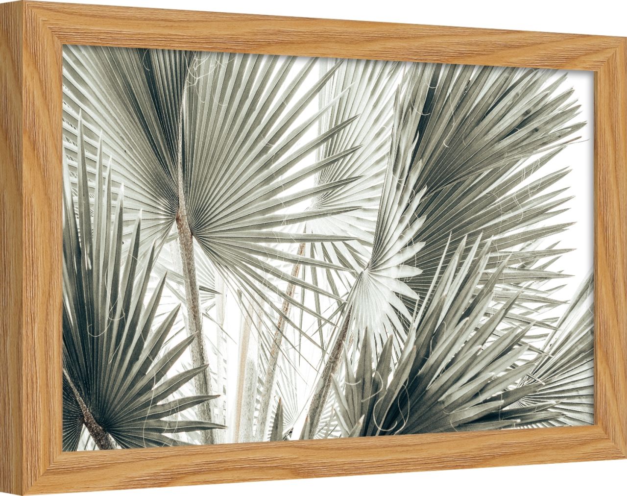 DECOPOSTER OAK DP08 - laterale
