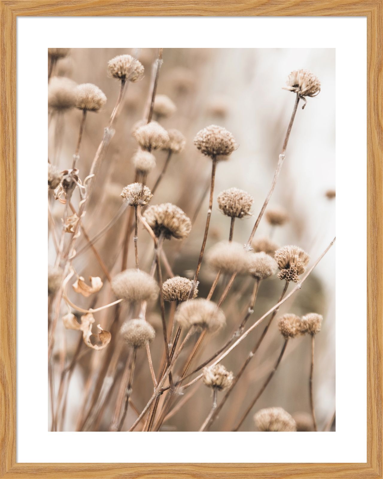 DECOPOSTER OAK DP54 - catalogo