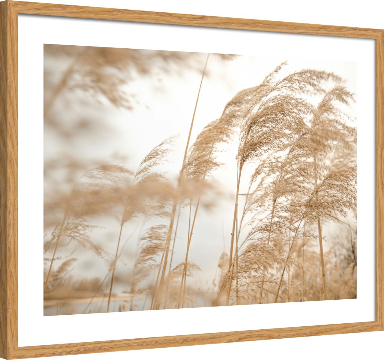 DECOPOSTER OAK DP64 - laterale