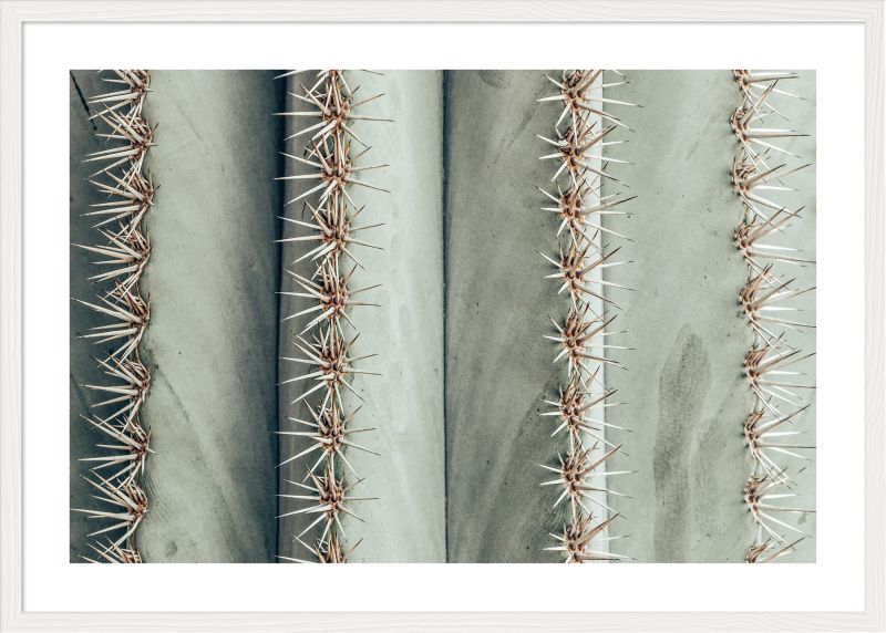 DECOPOSTER WHITE DP68 - catalogo