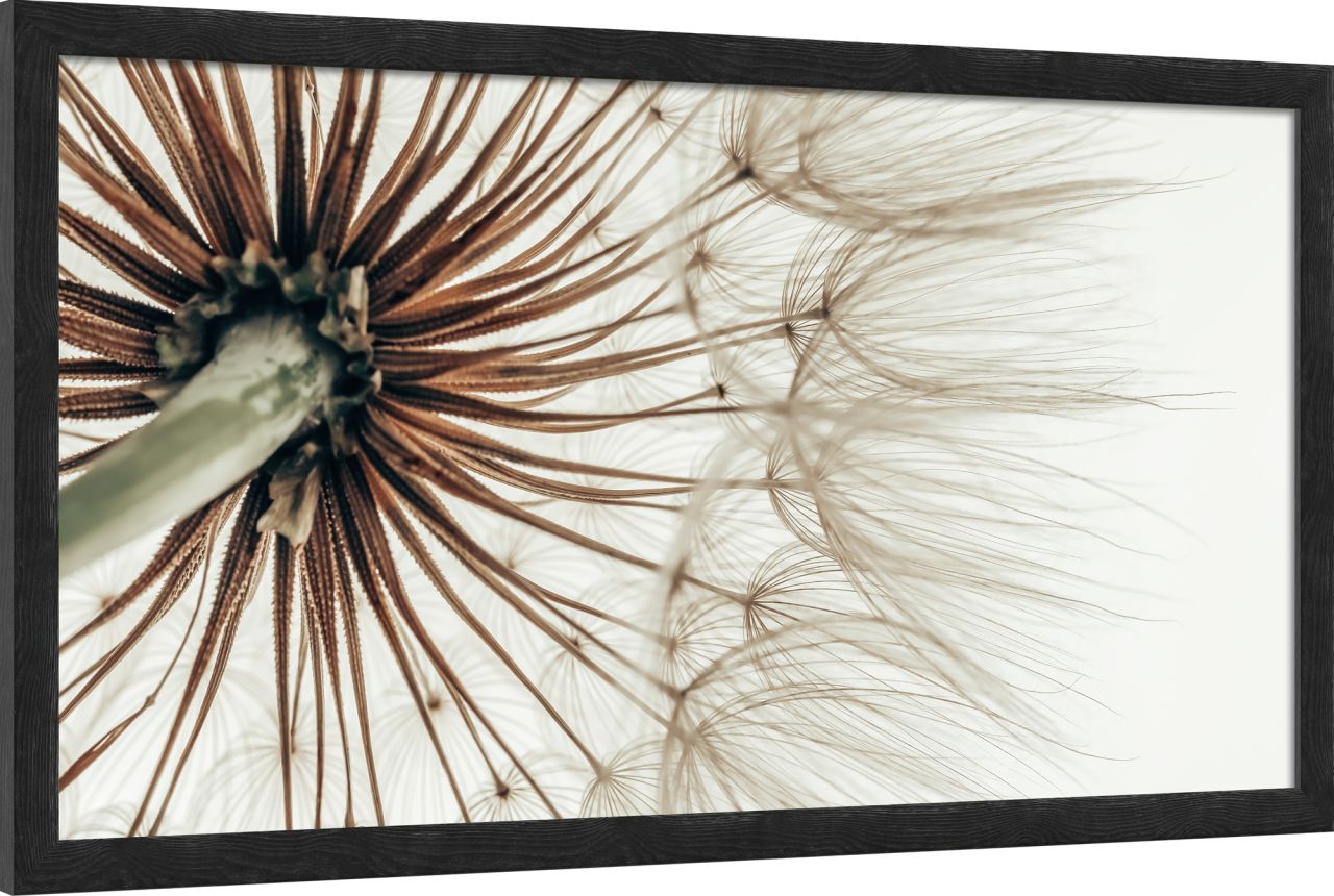 DECOPOSTER BLACK DP83 - laterale