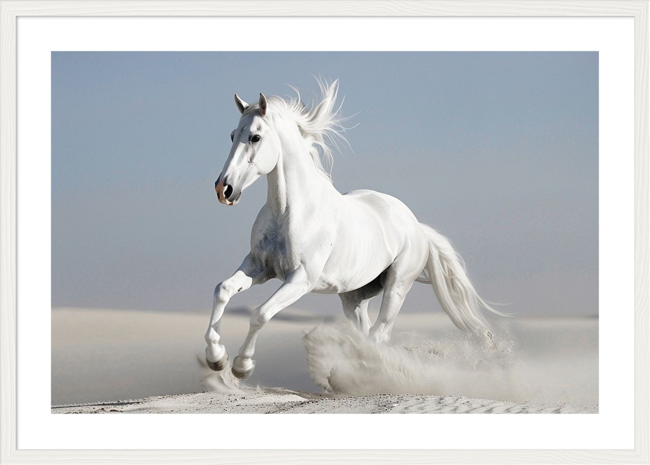 DECOPOSTER WHITE DPI7 - catalogo