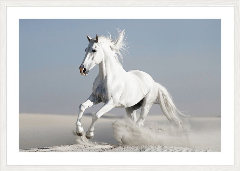 DECOPOSTER WHITE DPI7 - catalogo
