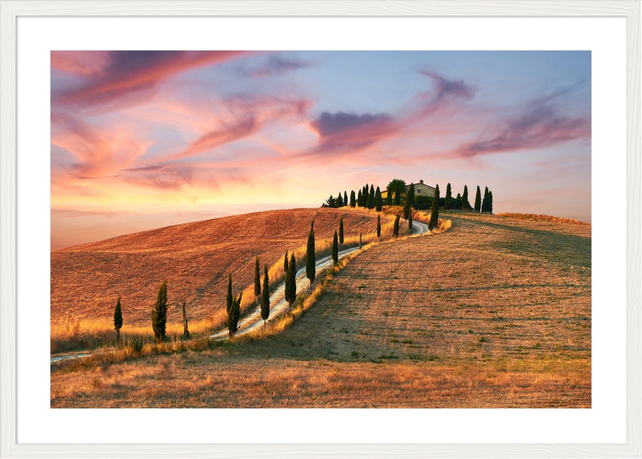 DECOPOSTER WHITE DPI8 - catalogo