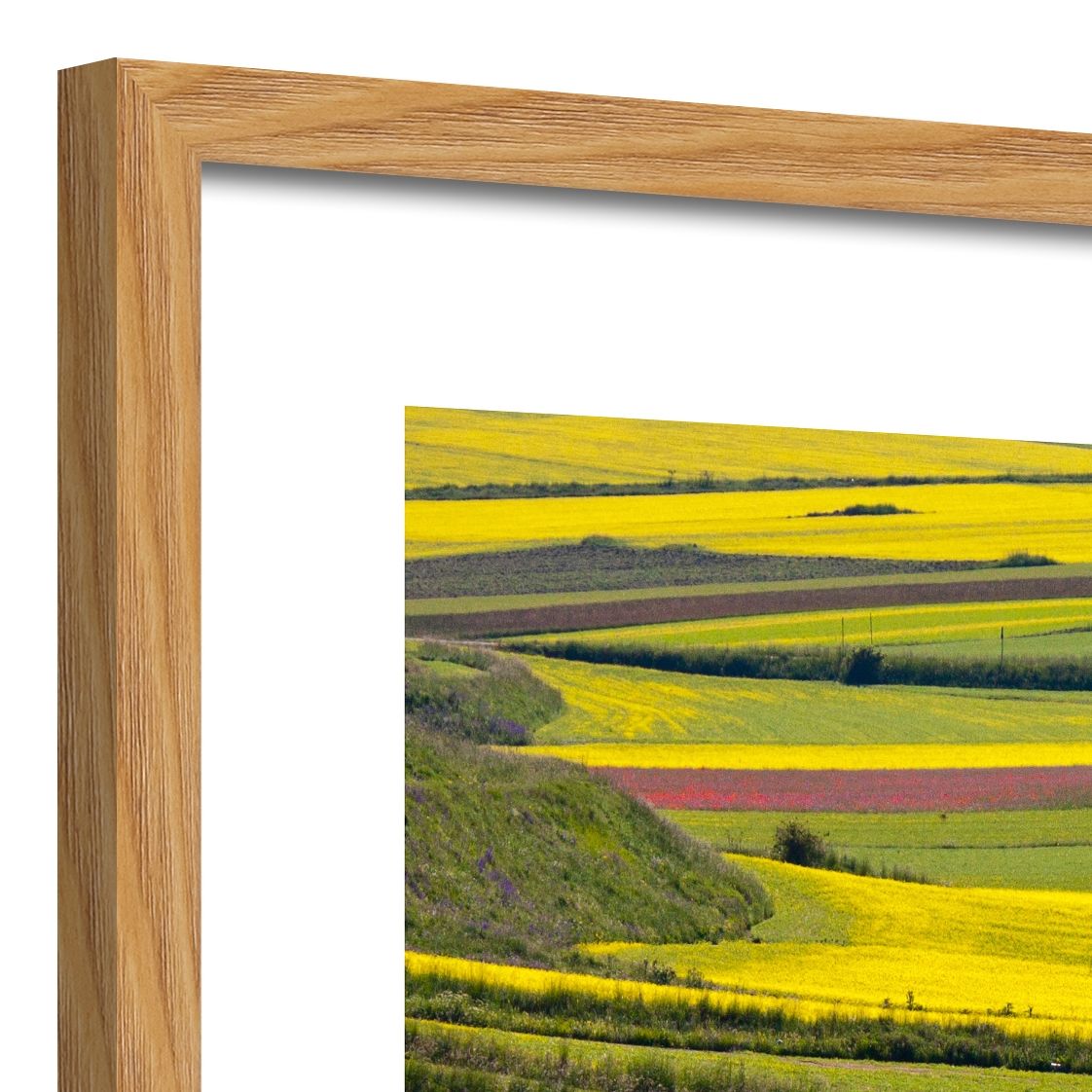DECOPOSTER OAK DPL6