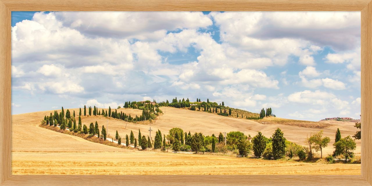 DECOPOSTER OAK DPN8 - catalogo