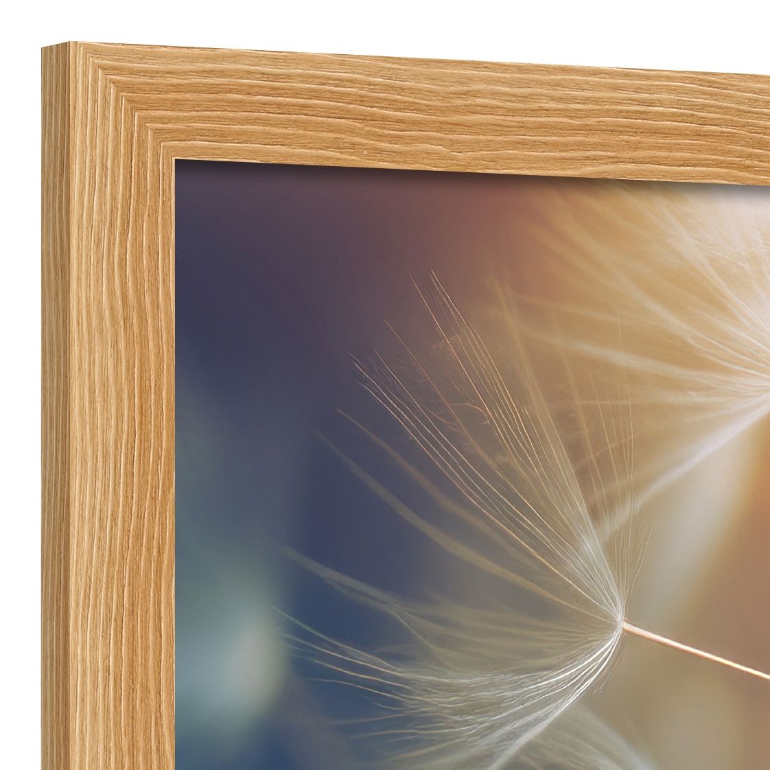 DECOPOSTER OAK DPN9