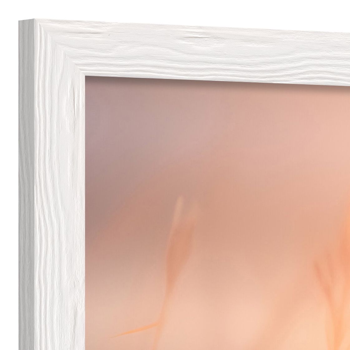 DECOPOSTER WHITE DPP2