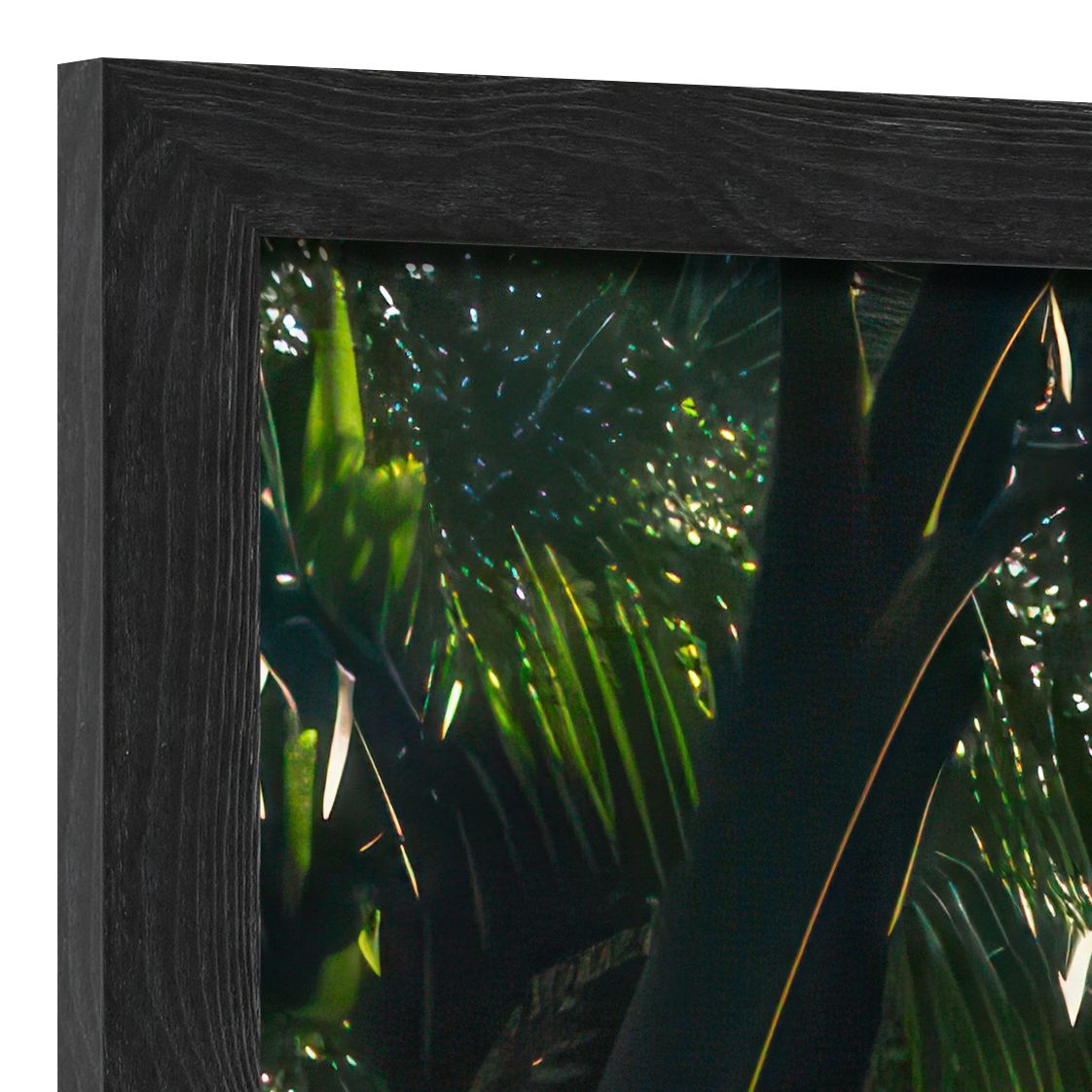 DECOPOSTER BLACK DPP8