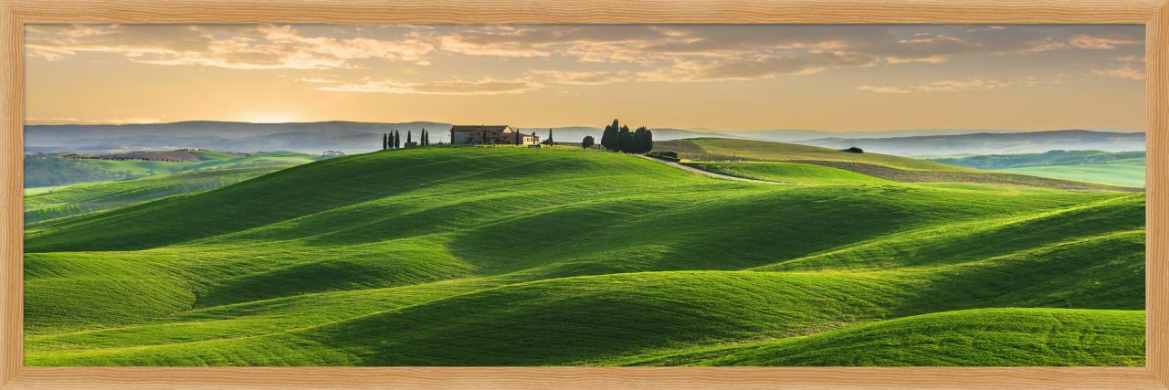 DECOPOSTER OAK DPQ1 - catalogo