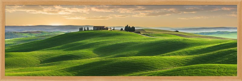 DECOPOSTER OAK DPQ1 - catalogo
