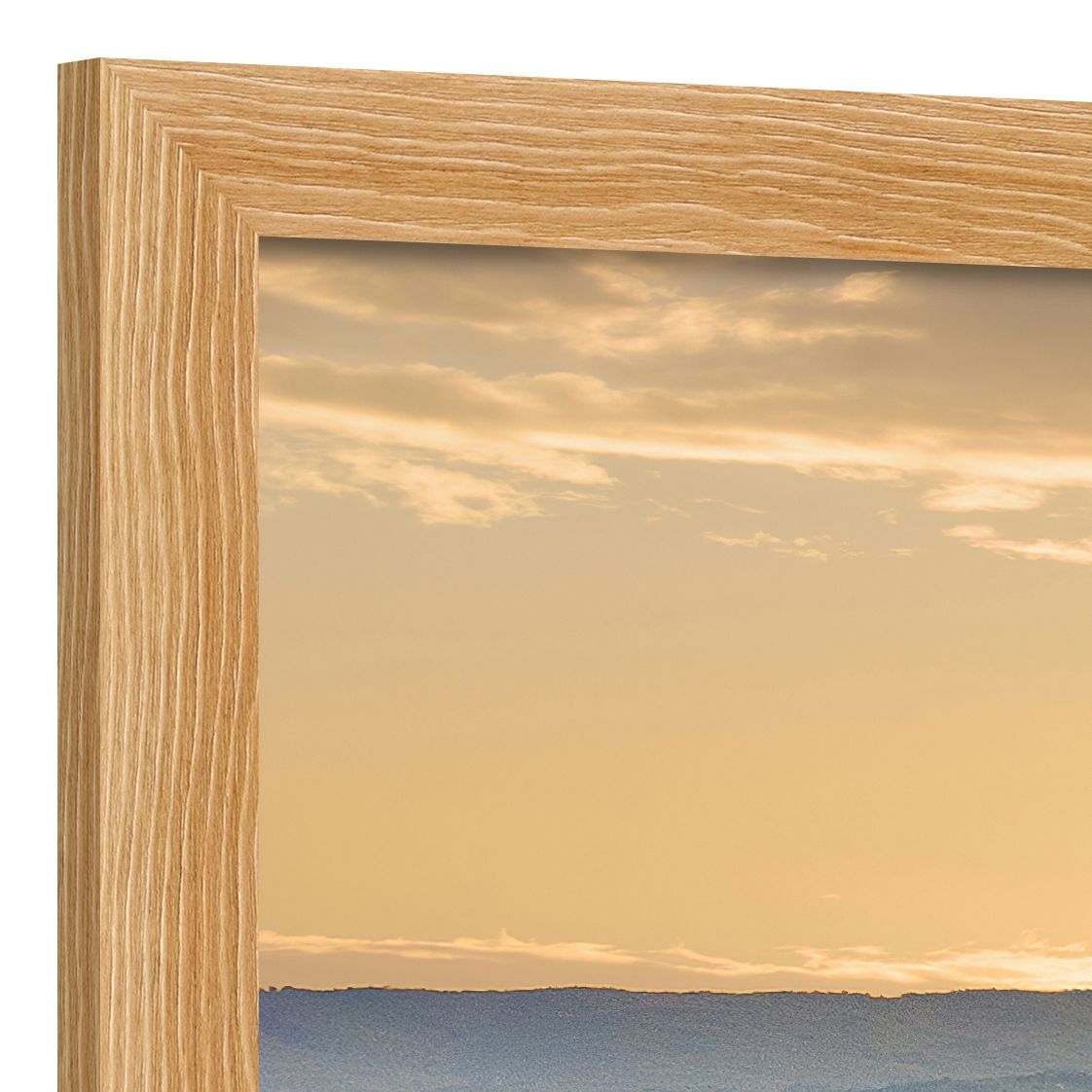 DECOPOSTER OAK DPQ1